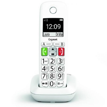 Siemens Gigaset E290 Wit Big Button