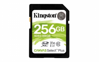 Kingston SD Kaart 256GB