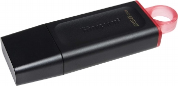 Kingston DataTraveler 256GB