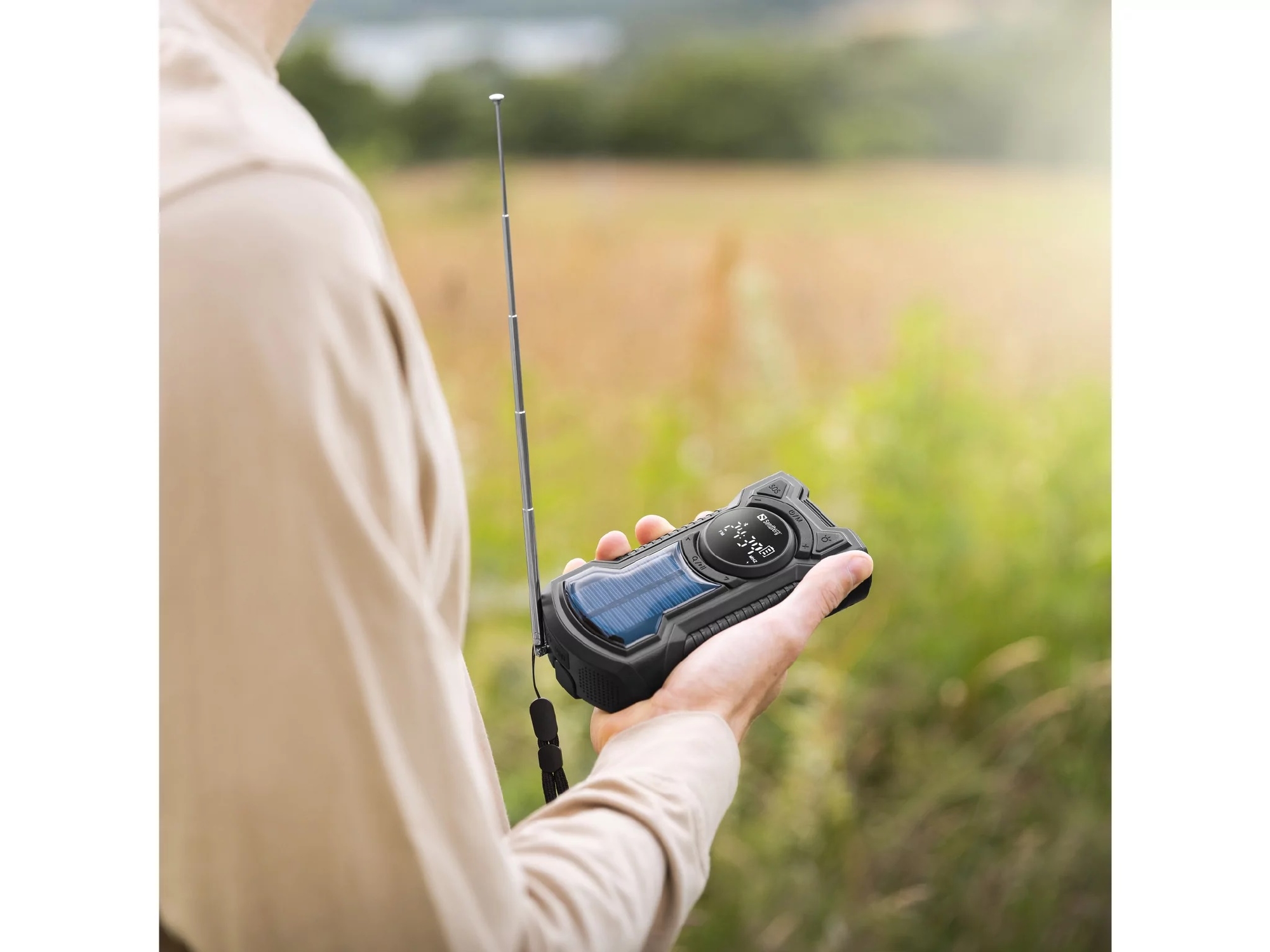 Sandberg Survivor Radio